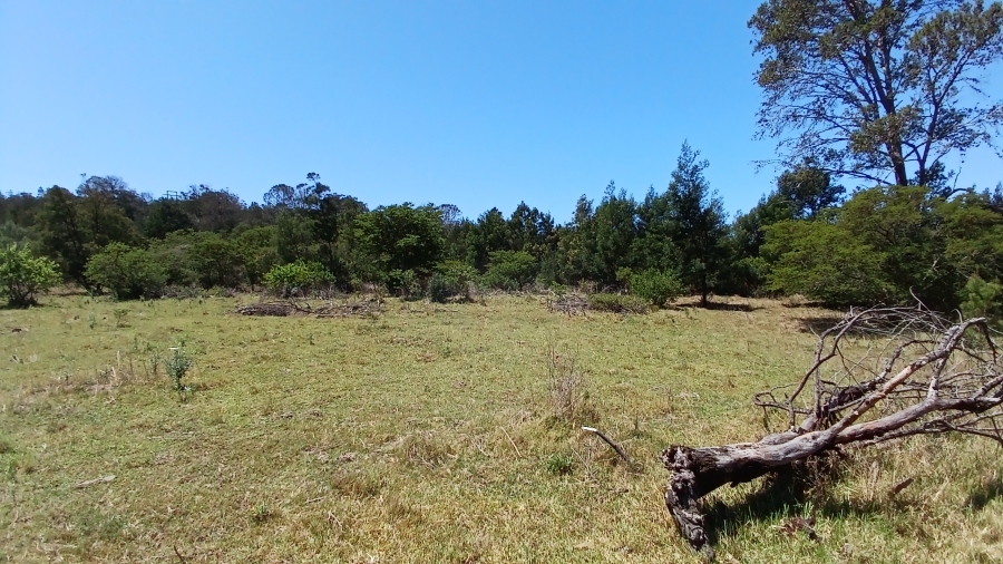 Commercial Property for Sale in Bathurst Rural Eastern Cape